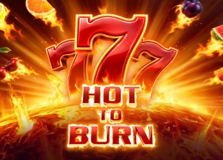 Hot to Burn game poster